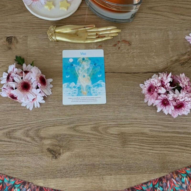 WhatsApp Image 2026-02-04 at 08.11.24